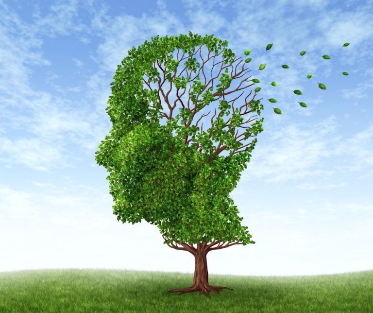 memorie-cellulari-sentiero-dell-essere