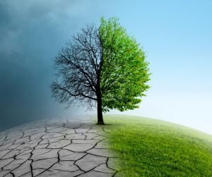 resiostenza-al-cambiamento-sentiero-dell-essere