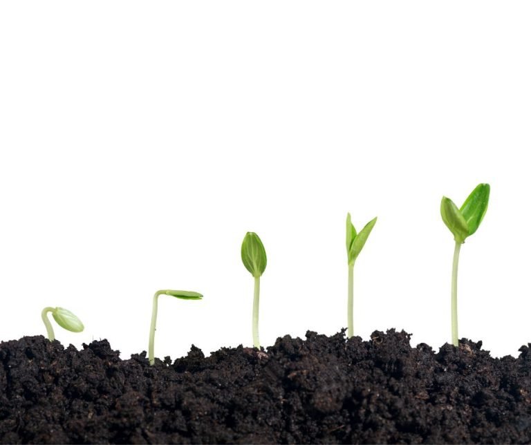 sentiero-dell-essere-mindfulness-e-crescita-personale