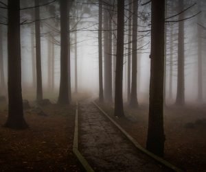 mindfulness-paura-sentiero-dell-essere